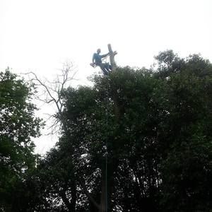 Meet your Posher, Max